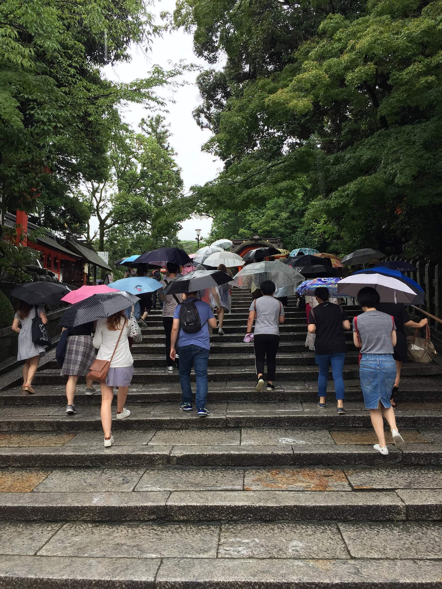 Planning for a Rainy Day